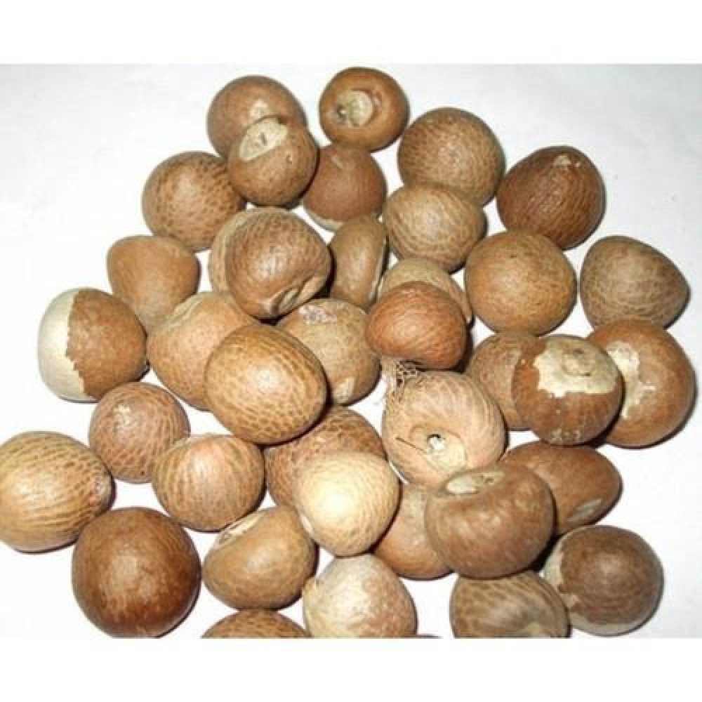 Raw Betelnuts (250 Grams)